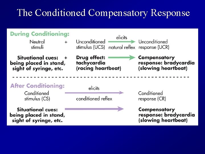 The Conditioned Compensatory Response 