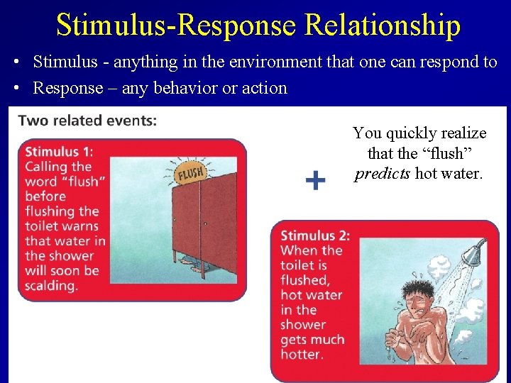 Stimulus-Response Relationship • Stimulus - anything in the environment that one can respond to
