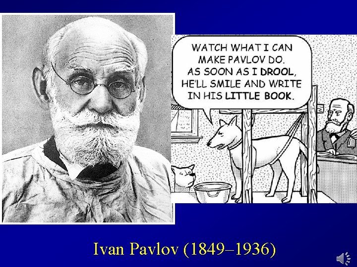 Ivan Pavlov (1849– 1936) 
