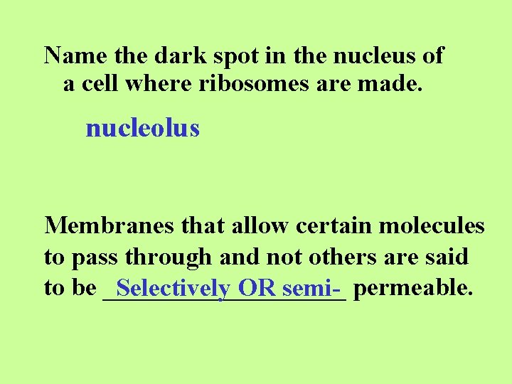 Name the dark spot in the nucleus of a cell where ribosomes are made.