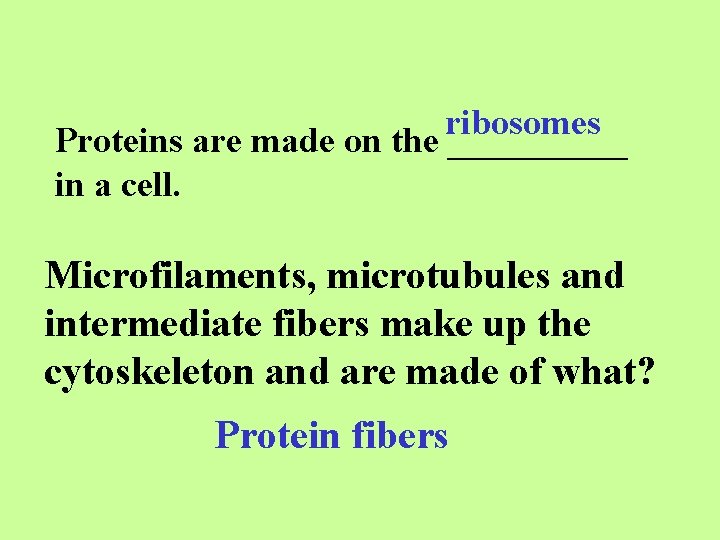 ribosomes Proteins are made on the _____ in a cell. Microfilaments, microtubules and intermediate