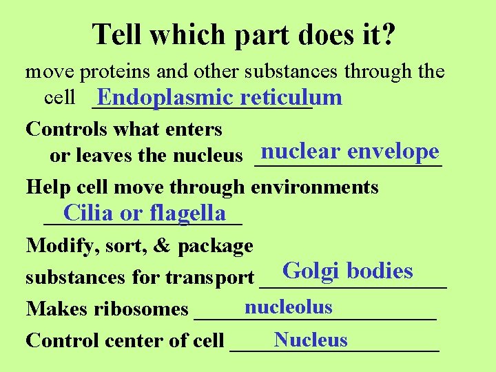 Tell which part does it? move proteins and other substances through the cell __________