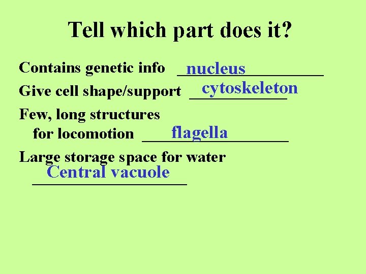 Tell which part does it? Contains genetic info _________ nucleus cytoskeleton Give cell shape/support