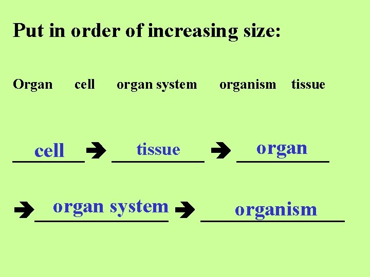 Put in order of increasing size: Organ cell organ system organism tissue organ tissue