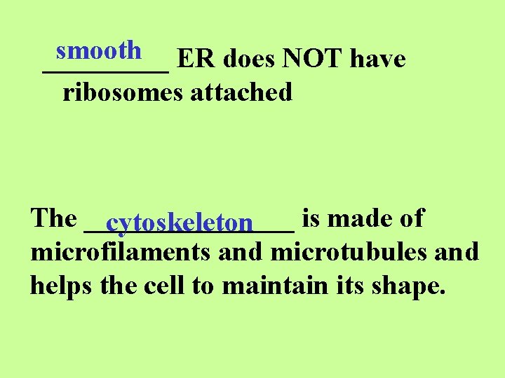 smooth ER does NOT have _____ ribosomes attached The ________ is made of cytoskeleton