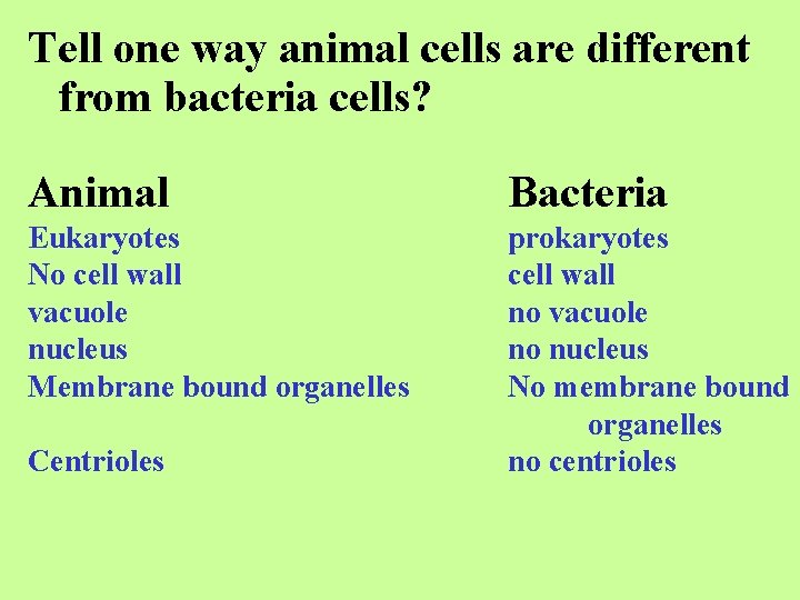 Tell one way animal cells are different from bacteria cells? Animal Bacteria Eukaryotes No