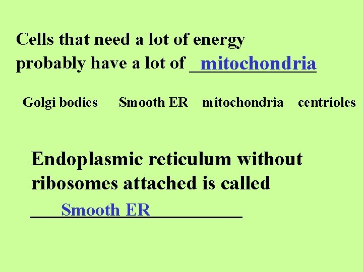 Cells that need a lot of energy probably have a lot of _______ mitochondria