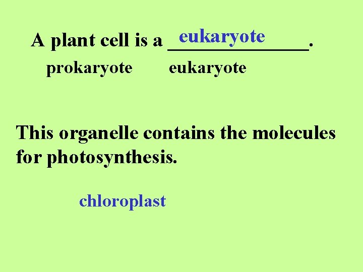 eukaryote A plant cell is a _______. prokaryote eukaryote This organelle contains the molecules