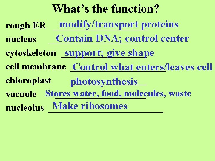 What’s the function? modify/transport proteins rough ER __________ Contain DNA; control center nucleus __________