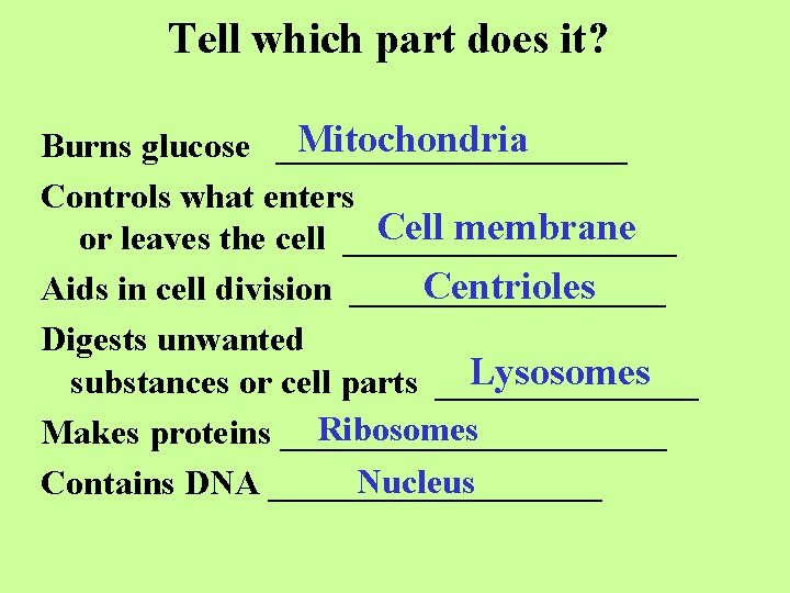 Tell which part does it? Mitochondria Burns glucose __________ Controls what enters Cell membrane