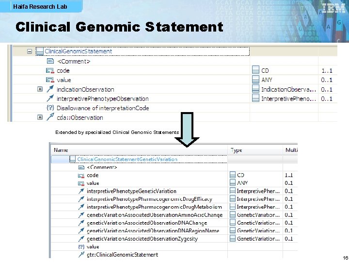 Haifa Research Lab Clinical Genomic Statement Extended by specialized Clinical Genomic Statements 16 