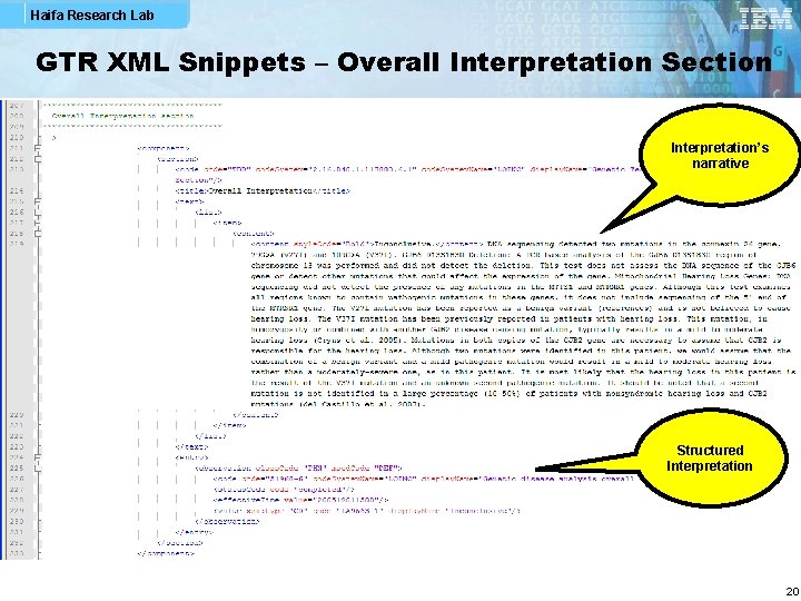 Haifa Research Lab GTR XML Snippets – Overall Interpretation Section Interpretation’s narrative Structured Interpretation