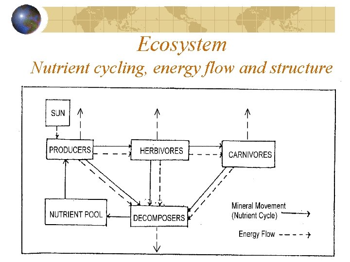 Ecosystem Nutrient cycling, energy flow and structure 