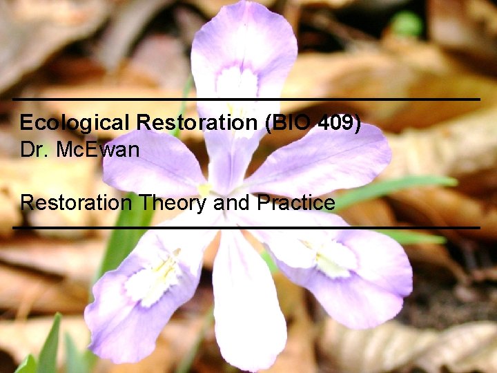 Ecological Restoration (BIO 409) Dr. Mc. Ewan Restoration Theory and Practice 