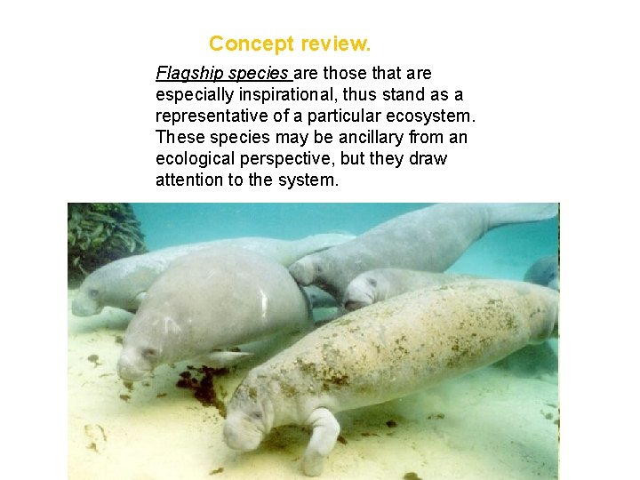 Concept review. Flagship species are those that are especially inspirational, thus stand as a