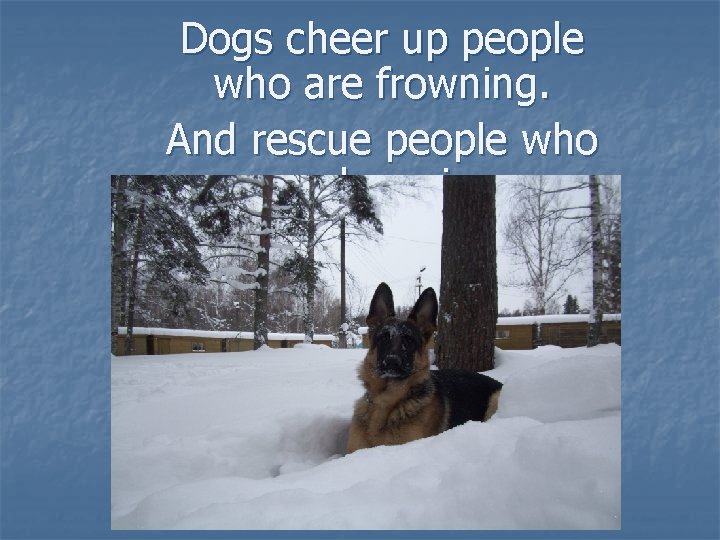 Dogs cheer up people who are frowning. And rescue people who are drowning. 
