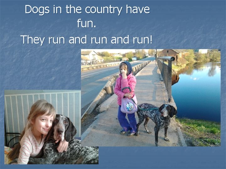 Dogs in the country have fun. They run and run! 