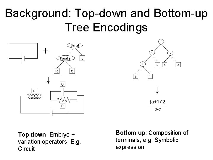 Background: Top-down and Bottom-up Tree Encodings Top down: Embryo + variation operators. E. g.