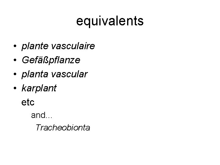 equivalents • • plante vasculaire Gefäßpflanze planta vascular karplant etc and… Tracheobionta 