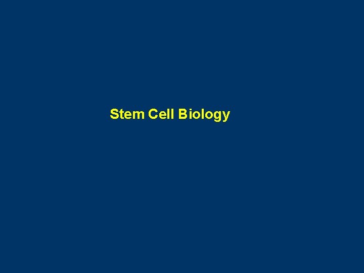 Stem Cell Biology 