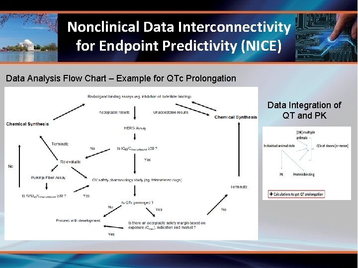 Nonclinical Data Interconnectivity for Endpoint Predictivity (NICE) Data Analysis Flow Chart – Example for