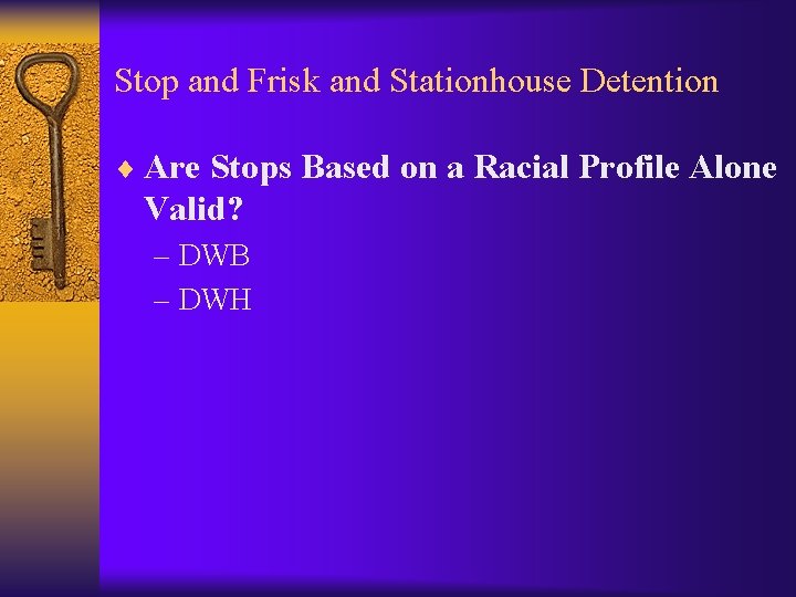 Stop and Frisk and Stationhouse Detention ¨ Are Stops Based on a Racial Profile