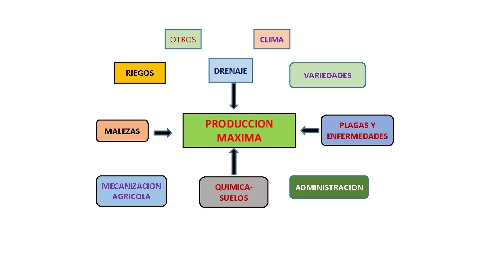 OTROS RIEGOS MALEZAS MECANIZACION AGRICOLA CLIMA DRENAJE PRODUCCION MAXIMA QUIMICASUELOS VARIEDADES PLAGAS Y ENFERMEDADES