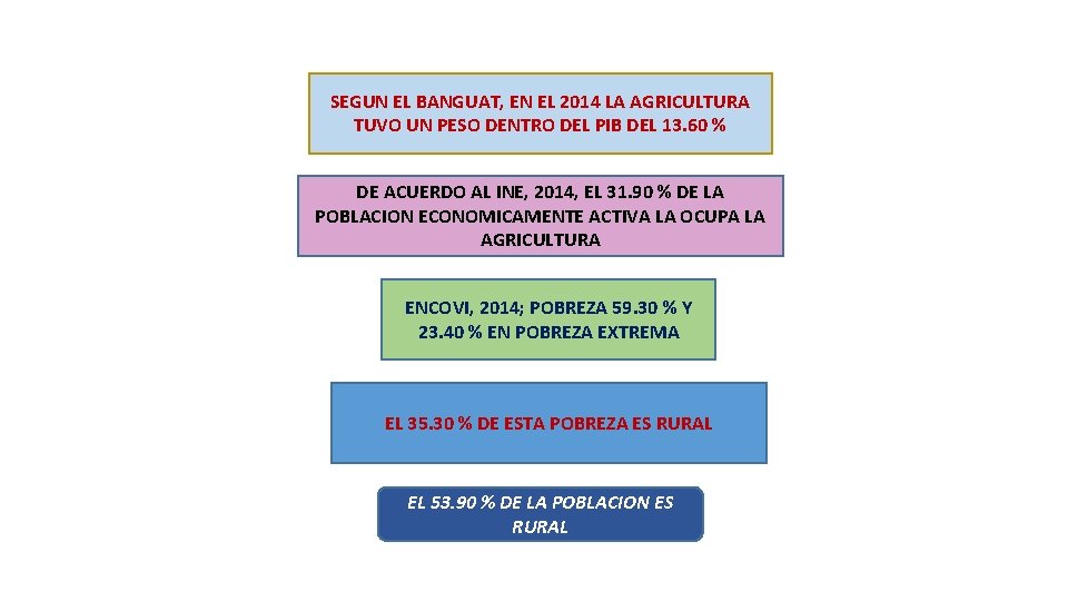 SEGUN EL BANGUAT, EN EL 2014 LA AGRICULTURA TUVO UN PESO DENTRO DEL PIB