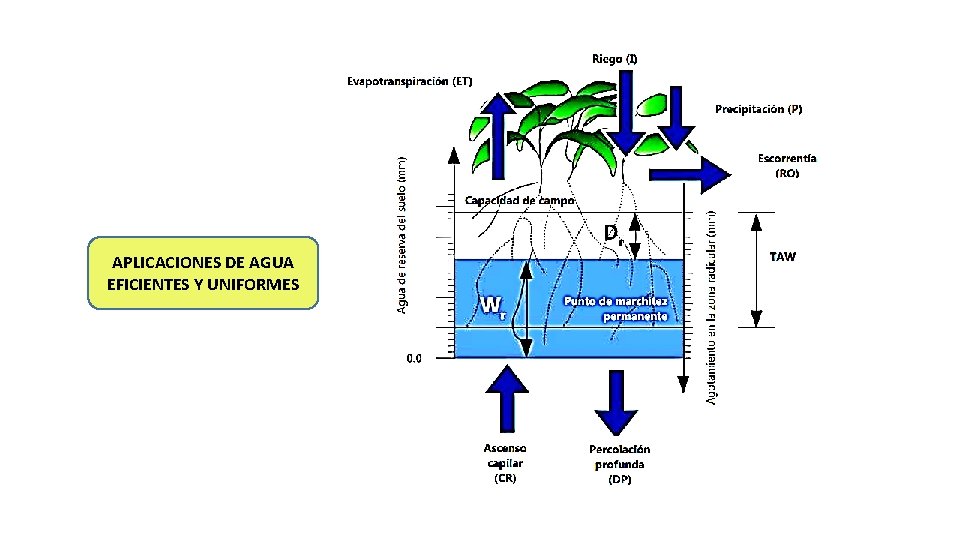 APLICACIONES DE AGUA EFICIENTES Y UNIFORMES 