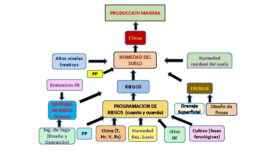 PRODUCCION MAXIMA ETmax HUMEDAD DEL SUELO Altos niveles freaticos Humedad residual del suelo PP