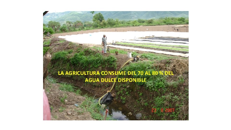 LA AGRICULTURA CONSUME DEL 70 AL 80 % DEL AGUA DULCE DISPONIBLE 