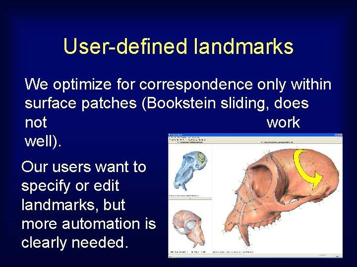 User-defined landmarks We optimize for correspondence only within surface patches (Bookstein sliding, does not