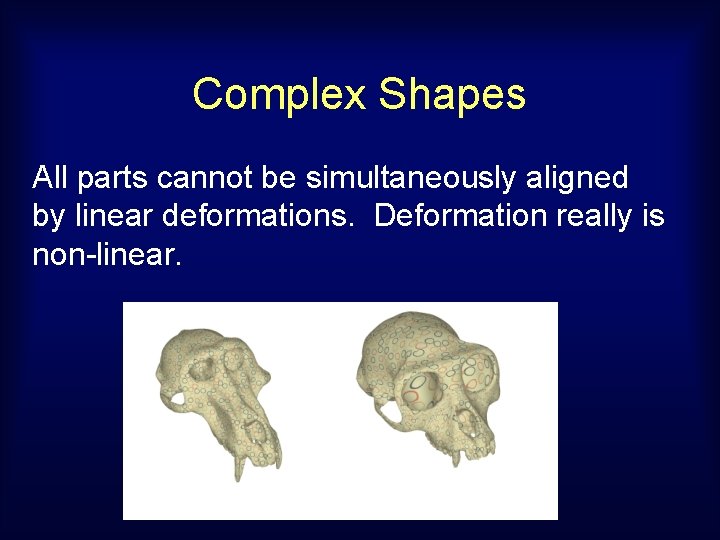 Complex Shapes All parts cannot be simultaneously aligned by linear deformations. Deformation really is