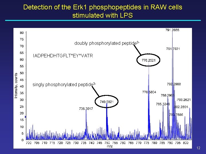 Detection of the Erk 1 phosphopeptides in RAW cells stimulated with LPS doubly phosphorylated Detection of the Erk 1 phosphopeptides in RAW cells stimulated with LPS doubly phosphorylated