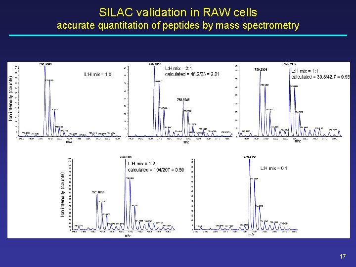 SILAC validation in RAW cells accurate quantitation of peptides by mass spectrometry 17 SILAC validation in RAW cells accurate quantitation of peptides by mass spectrometry 17