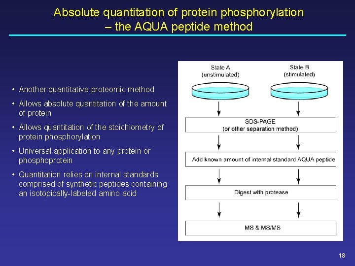 Absolute quantitation of protein phosphorylation – the AQUA peptide method • Another quantitative proteomic Absolute quantitation of protein phosphorylation – the AQUA peptide method • Another quantitative proteomic