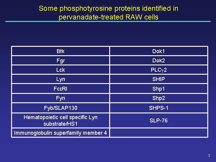 Some phosphotyrosine proteins identified in pervanadate-treated RAW cells Btk Dok 1 Fgr Dok 2 Some phosphotyrosine proteins identified in pervanadate-treated RAW cells Btk Dok 1 Fgr Dok 2