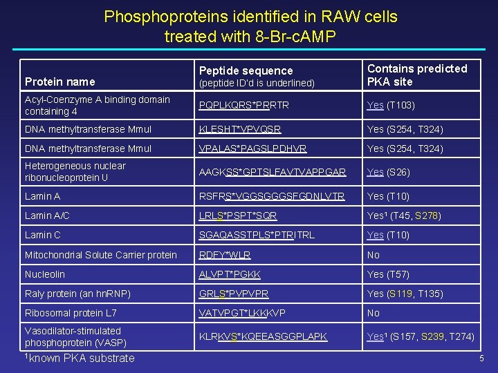 Phosphoproteins identified in RAW cells treated with 8 -Br-c. AMP (peptide ID’d is underlined) Phosphoproteins identified in RAW cells treated with 8 -Br-c. AMP (peptide ID’d is underlined)