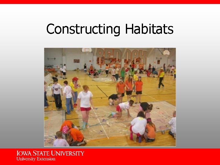 Constructing Habitats 