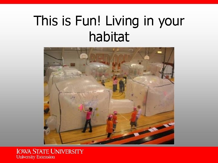 This is Fun! Living in your habitat 