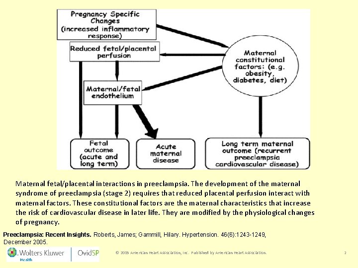 Maternal fetal/placental interactions in preeclampsia. The development of the maternal syndrome of preeclampsia (stage