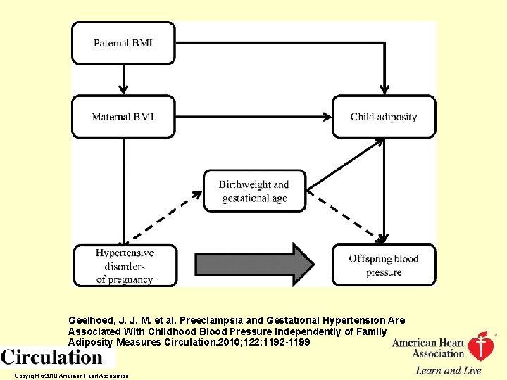 Geelhoed, J. J. M. et al. Preeclampsia and Gestational Hypertension Are Associated With Childhood