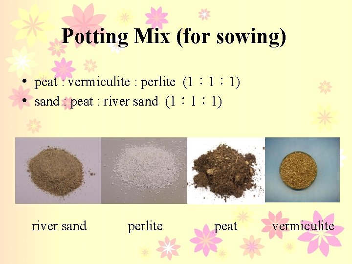 Potting Mix (for sowing) • peat : vermiculite : perlite (1︰ 1︰ 1) •