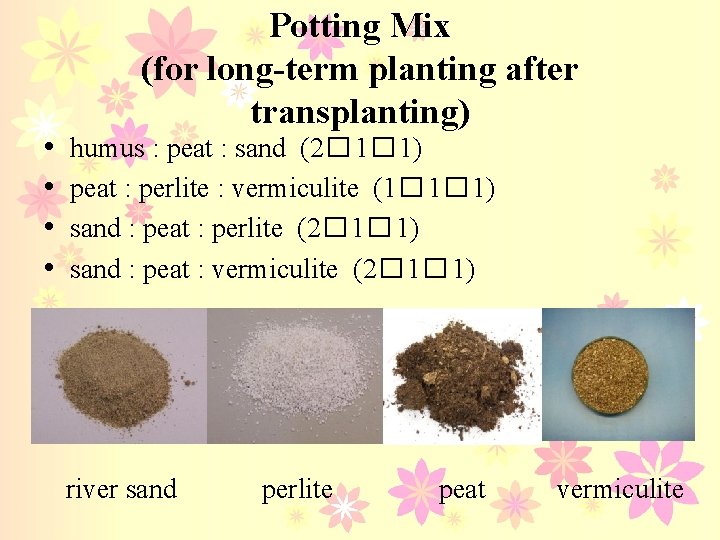  • • Potting Mix (for long-term planting after transplanting) humus : peat :