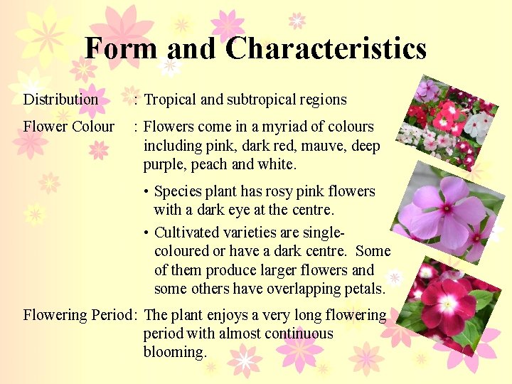 Form and Characteristics Distribution : Tropical and subtropical regions Flower Colour : Flowers come