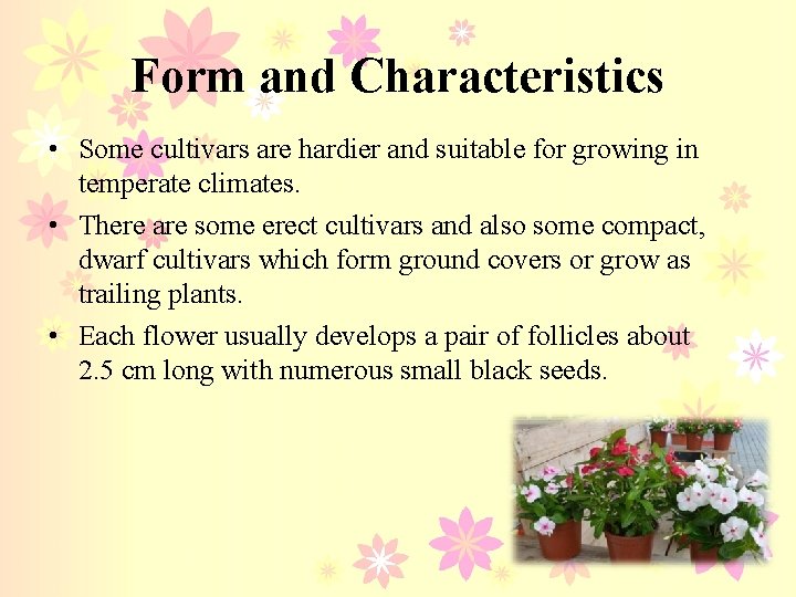 Form and Characteristics • Some cultivars are hardier and suitable for growing in temperate