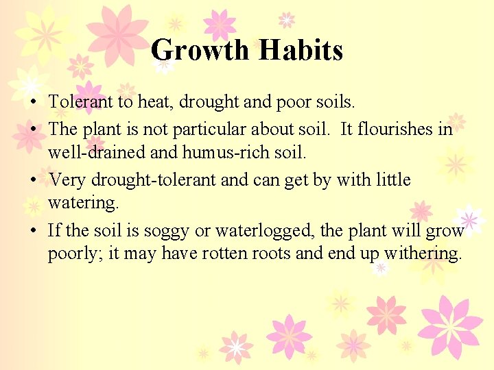 Growth Habits • Tolerant to heat, drought and poor soils. • The plant is