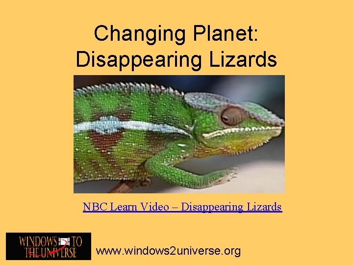 Changing Planet: Disappearing Lizards NBC Learn Video – Disappearing Lizards www. windows 2 universe.