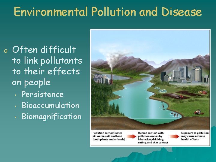 Environmental Pollution and Disease o Often difficult to link pollutants to their effects on