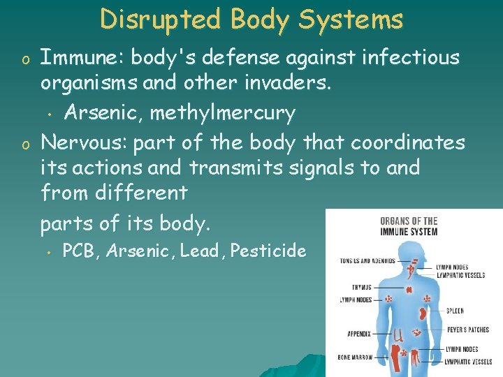 Disrupted Body Systems o o Immune: body's defense against infectious organisms and other invaders.